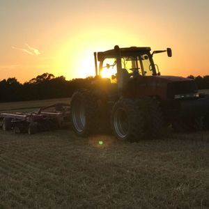 Meet your Posher, Dylan